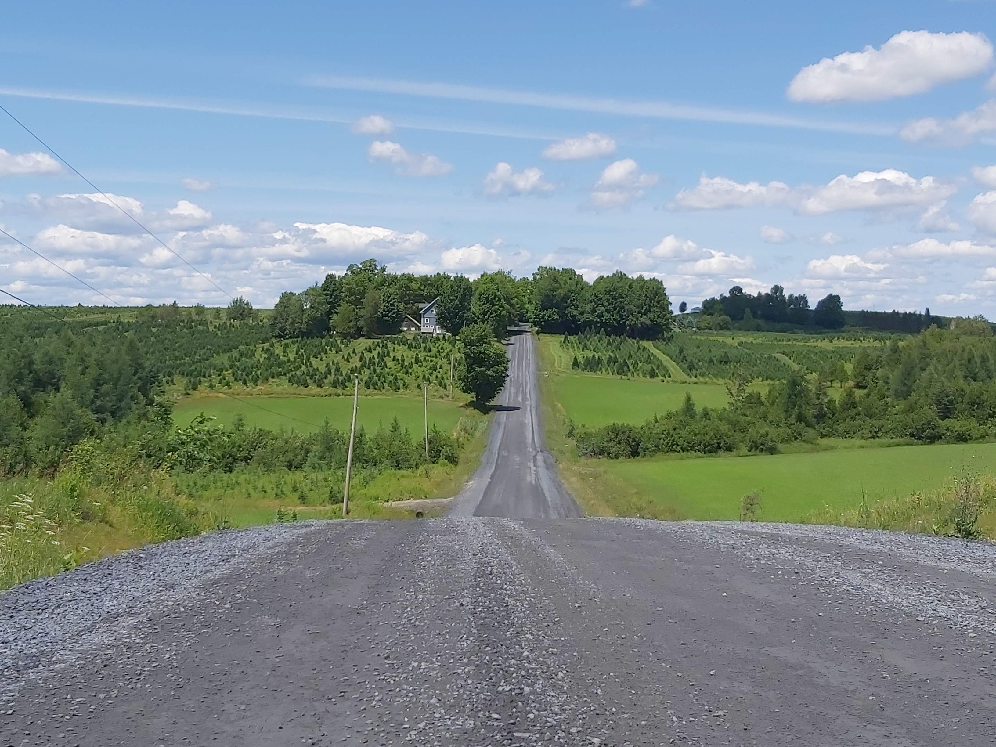 route en gravier et vallonée près de Coaticook, un beau ciel bleu, champs et plantations de sapins au loin