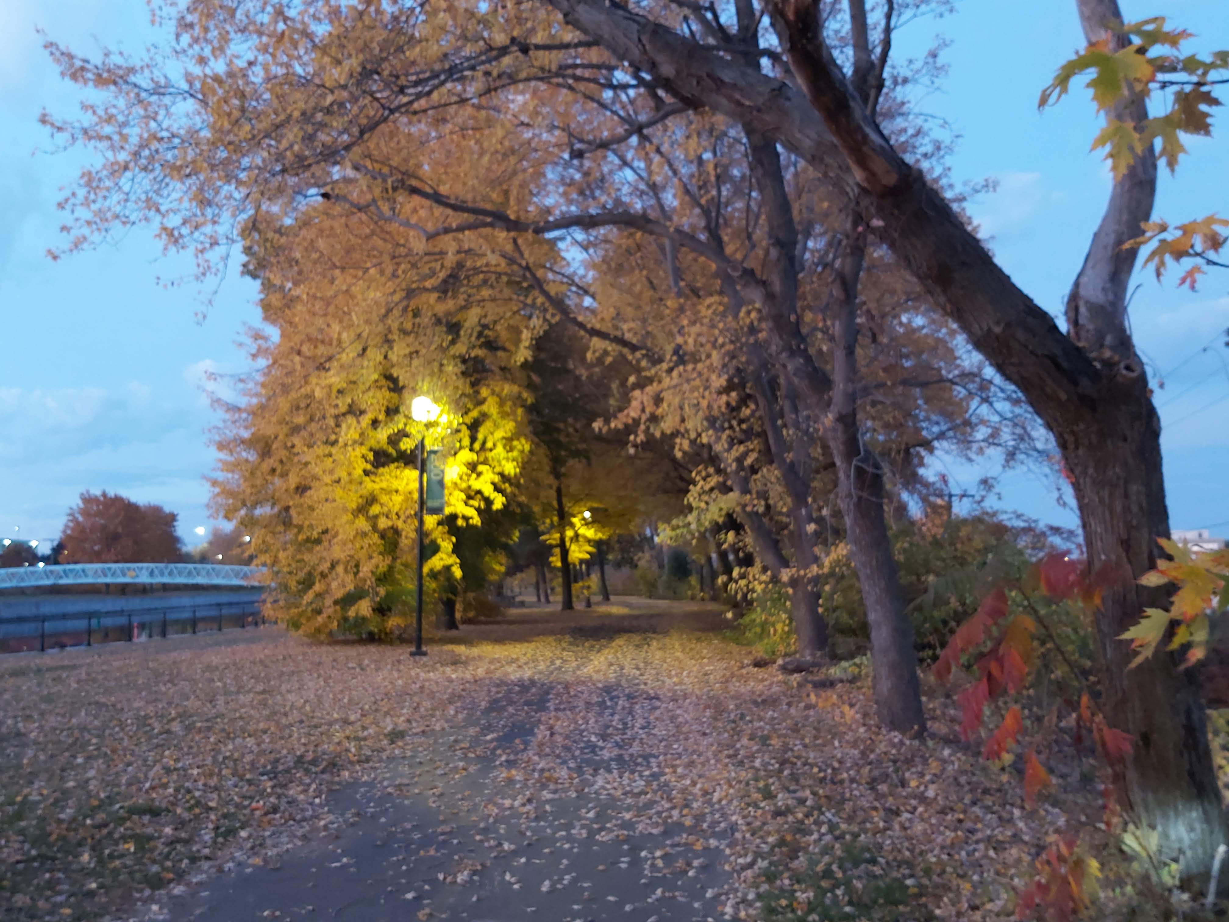 canal à l'aube et les couleurs de l'automne